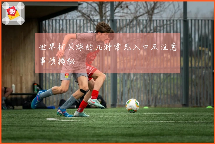 世界杯买球的几种常见入口及注意事项揭秘