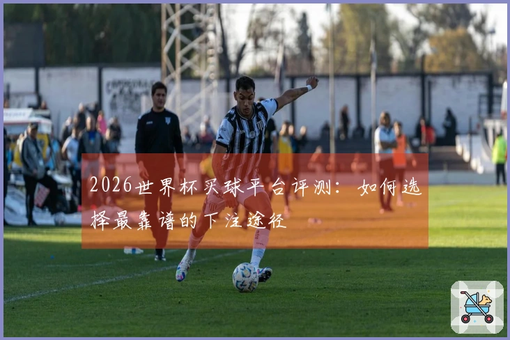 2026世界杯买球平台评测：如何选择最靠谱的下注途径