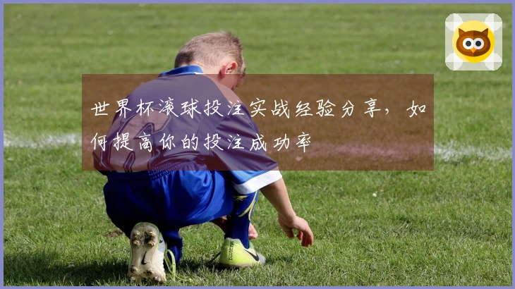 世界杯滚球投注实战经验分享，如何提高你的投注成功率