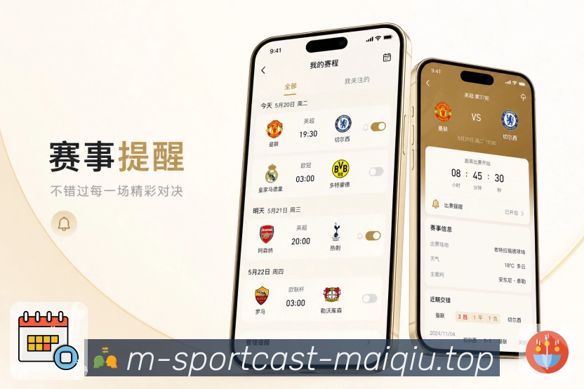 <strong>买球站</strong>临时查赛栏目预览